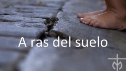 Boletín CEMI n°134, abril 2026